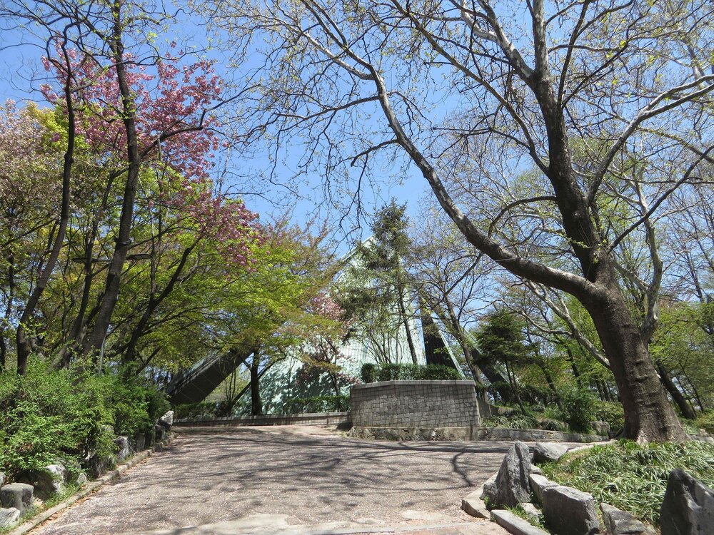 Lối đi rợp bóng cây dẫn lên khu tưởng niệm trong Công viên Jayu