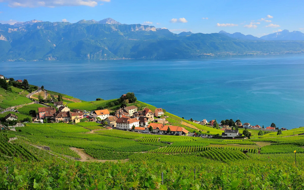 Bạn n&ecirc;n gh&eacute; Lausanne v&agrave;o khoảng th&aacute;ng 5 - 9 để cảm nhận trọn vẹn nhịp sống nơi đ&acirc;y