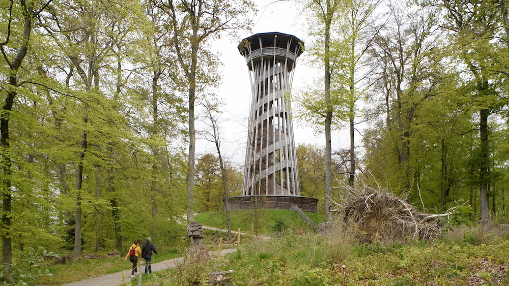 Th&aacute;p quan s&aacute;t Sauvabelin - Nơi bạn c&oacute; thể ngắm nh&igrave;n to&agrave;n cảnh th&agrave;nh phố Lausanne từ tr&ecirc;n cao