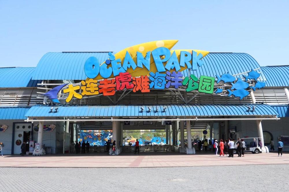 Lạc v&agrave;o thế giới đại dương lung linh tại L&atilde;o Hổ Đ&agrave;m