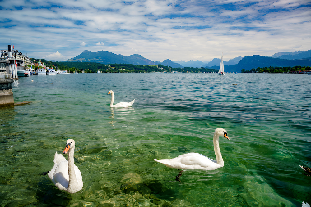 Hồ Luzern - hồ nước ngọt xinh đẹp tại Luzern, có diện tích 114 km².