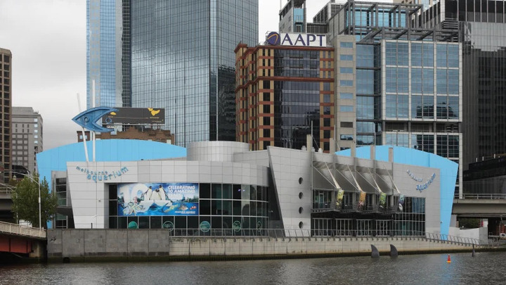 Thế giới đại dương sống động đang chờ bạn tại Thủy cung SEA Life Melbourne Aquarium