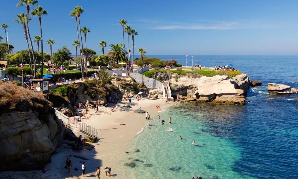 Ngắm cá voi và tận hưởng nắng vàng trên các bãi biển San Diego