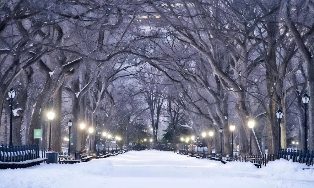 Central Park tĩnh lặng trong tuyết trắng vào mùa đông