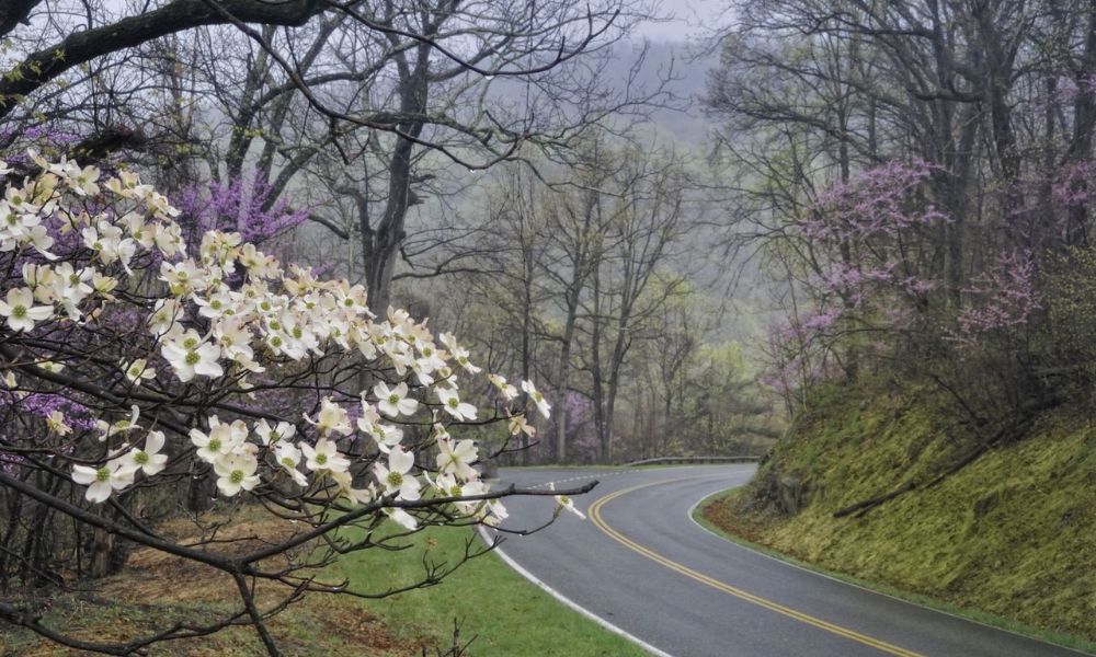 Th&aacute;ng 5 l&agrave; thời điểm ho&agrave;n hảo nhất để gh&eacute; thăm F168nhacai đón tết bính ngọ 2026 rộng lớn hơn 200.000 mẫu Anh n&agrave;y