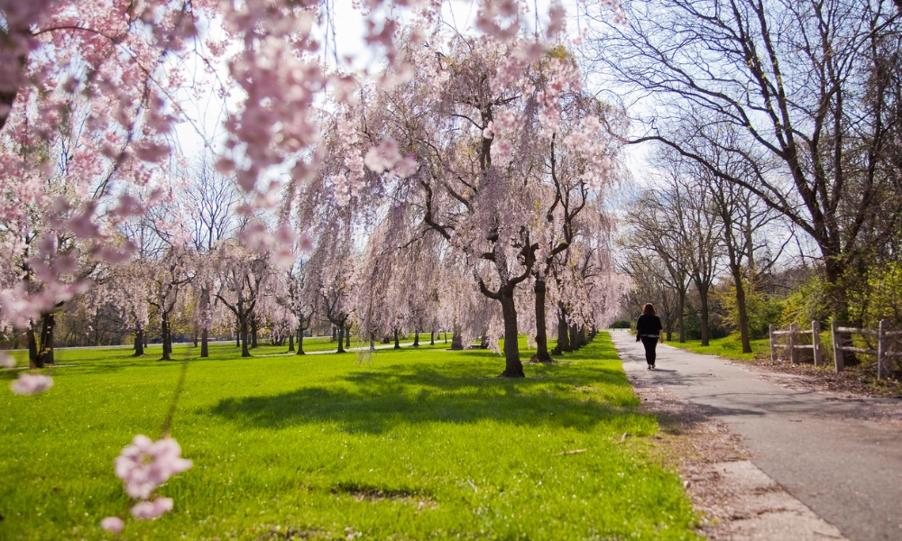 Philadelphia v&agrave;o m&ugrave;a xu&acirc;n c&oacute; rất nhiều sự kiện đặc sắc