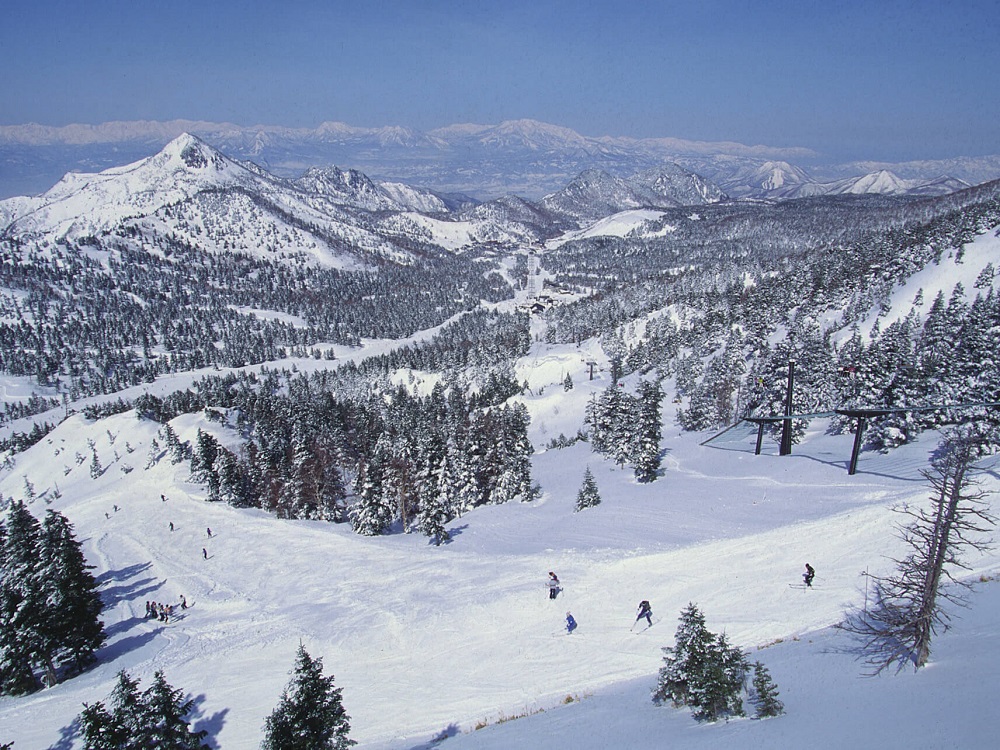 Shiga Kogen nổi tiếng với đường trượt d&agrave;i bất tận