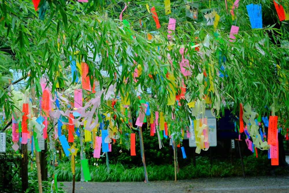 Những dải giấy ước nguyện Tanzaku đầy m&agrave;u sắc trong lễ hội Tanabata