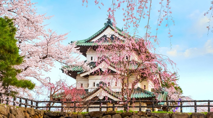 Chi&ecirc;m ngưỡng l&acirc;u đ&agrave;i Hirosaki rực rỡ giữa sắc hồng hoa anh đ&agrave;o