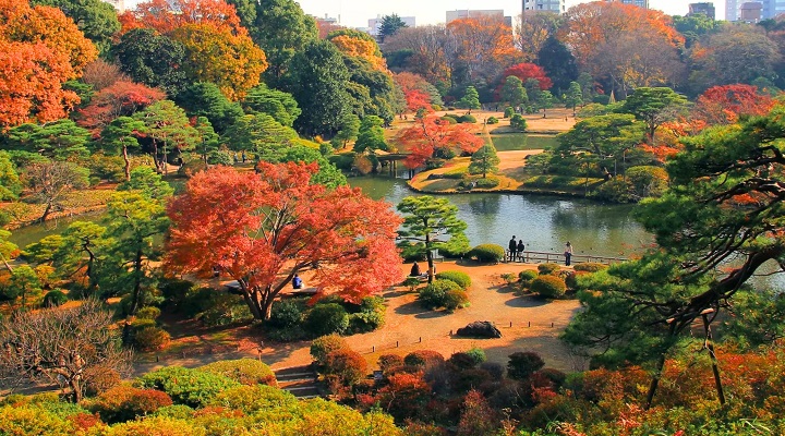 Trải nghiệm tham quan vườn Rikugien rực rỡ với sắc l&aacute; phong đỏ v&agrave;o m&ugrave;a thu