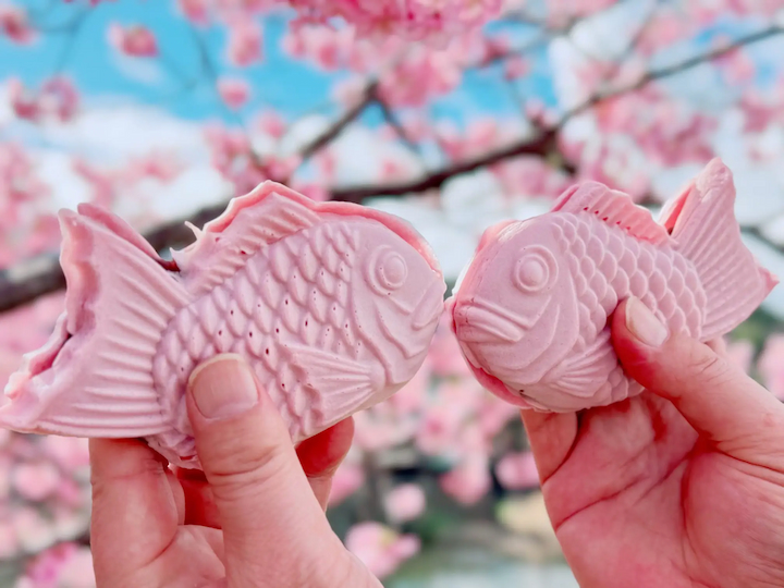 Sakura Taiyaki có hình dạng giống con cá, thường bán ở các quầy hàng ven đường