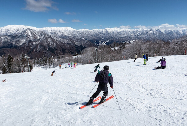 Tham gia bộ môn trượt tuyết đầy thú vị tại Niigata