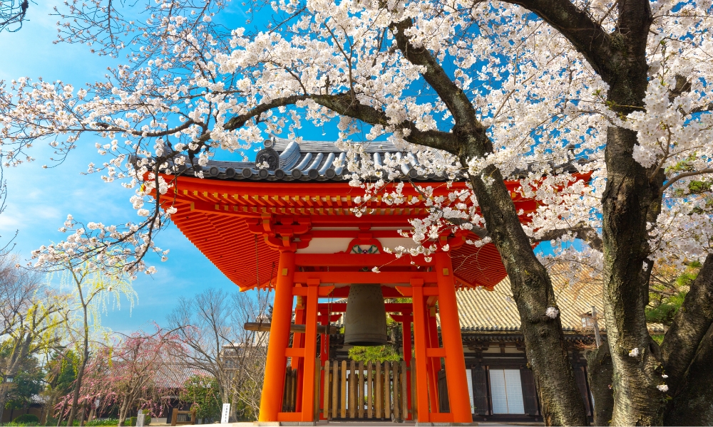 Nước Nhật v&agrave;o m&ugrave;a xu&acirc;n, cụ thể l&agrave; th&aacute;ng 4 đẹp đến nao l&ograve;ng