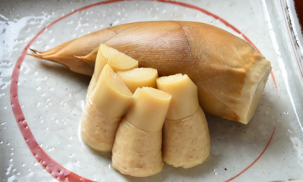 Măng non m&ugrave;a xu&acirc;n mang đến cảm gi&aacute;c tươi m&aacute;t