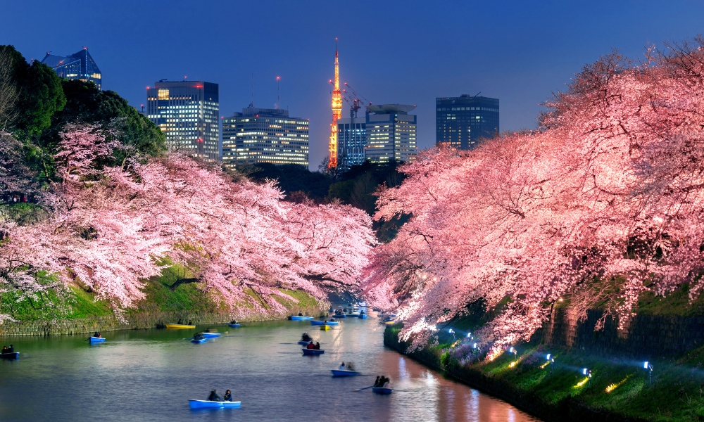 Thủ đ&ocirc; xứ Ph&ugrave; Tang rất đ&aacute;ng để thăm th&uacute; v&agrave;o th&aacute;ng 4