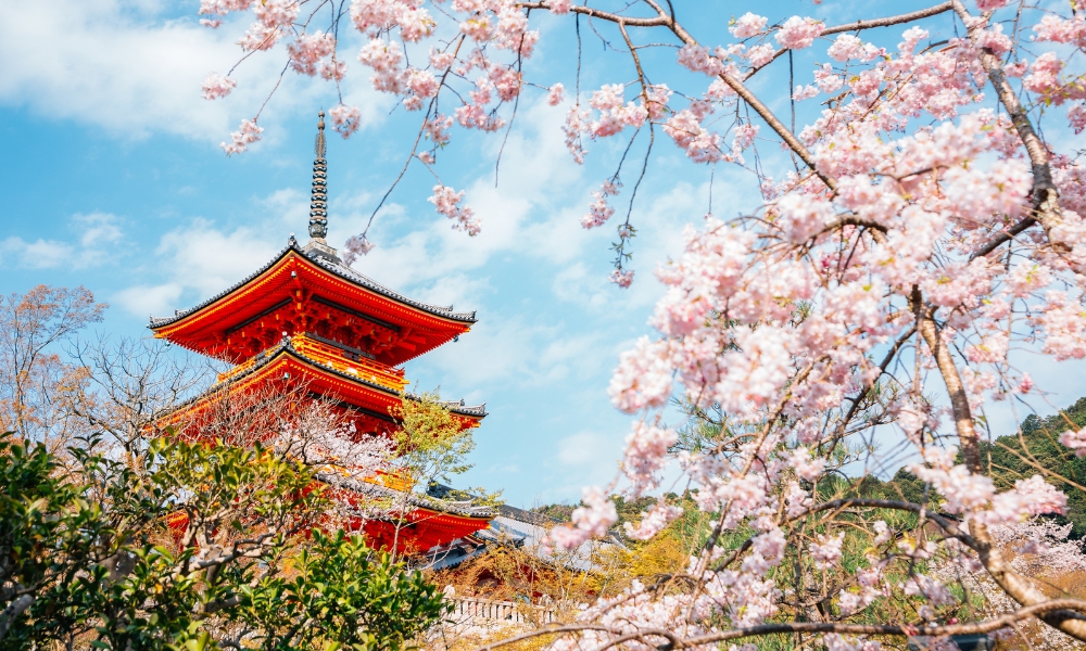 Cố đ&ocirc; nước Nhật mang phong vị rất kh&aacute;c v&agrave;o m&ugrave;a xu&acirc;n