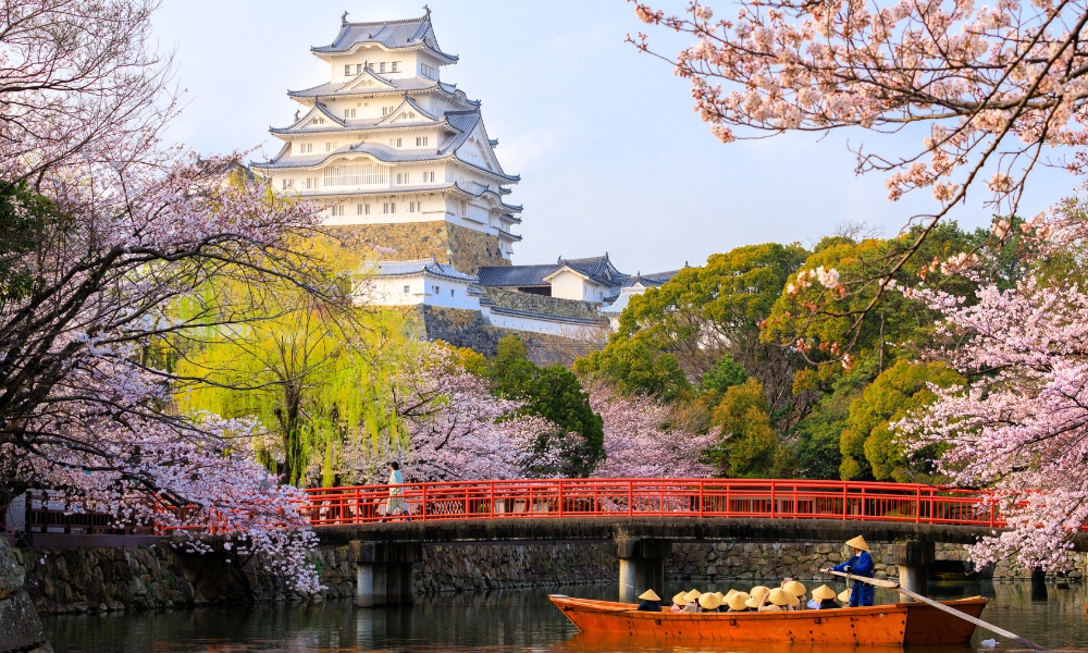 Osaka c&oacute; nhiều khu để thưởng thức hoa anh đ&agrave;o