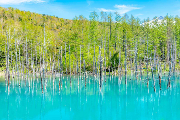 Hồ Aoiike g&acirc;y ấn tượng với m&agrave;u nước xanh biếc