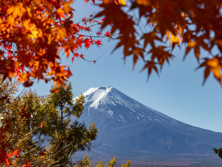 Núi Phú Sĩ khoác lên mình vẻ đẹp rực rỡ với sắc lá đỏ mùa thu