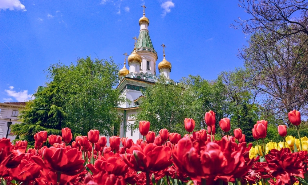 M&ugrave;a xu&acirc;n nước Nga rực rỡ sắc hoa tulip trước nh&agrave; thờ m&aacute;i v&ograve;m h&agrave;nh t&acirc;y đặc trưng