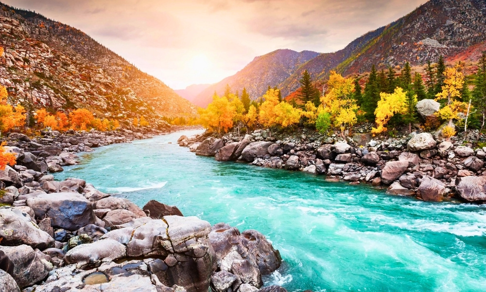 Khung cảnh mùa thu rực rỡ bên dòng sông Katun xanh ngọc, giữa dãy núi Altai hùng vĩ
