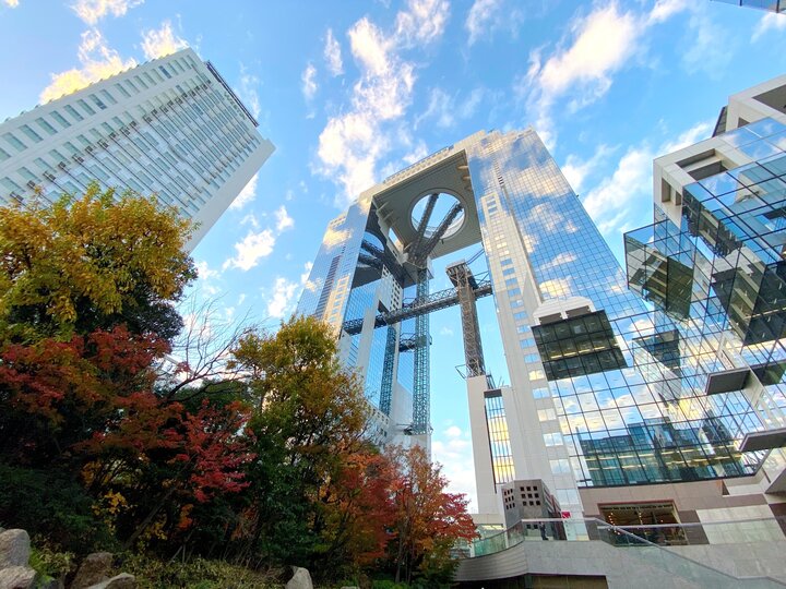Ngắm nh&igrave;n Osaka từ đ&agrave;i quan s&aacute;t Umeda Sky Building