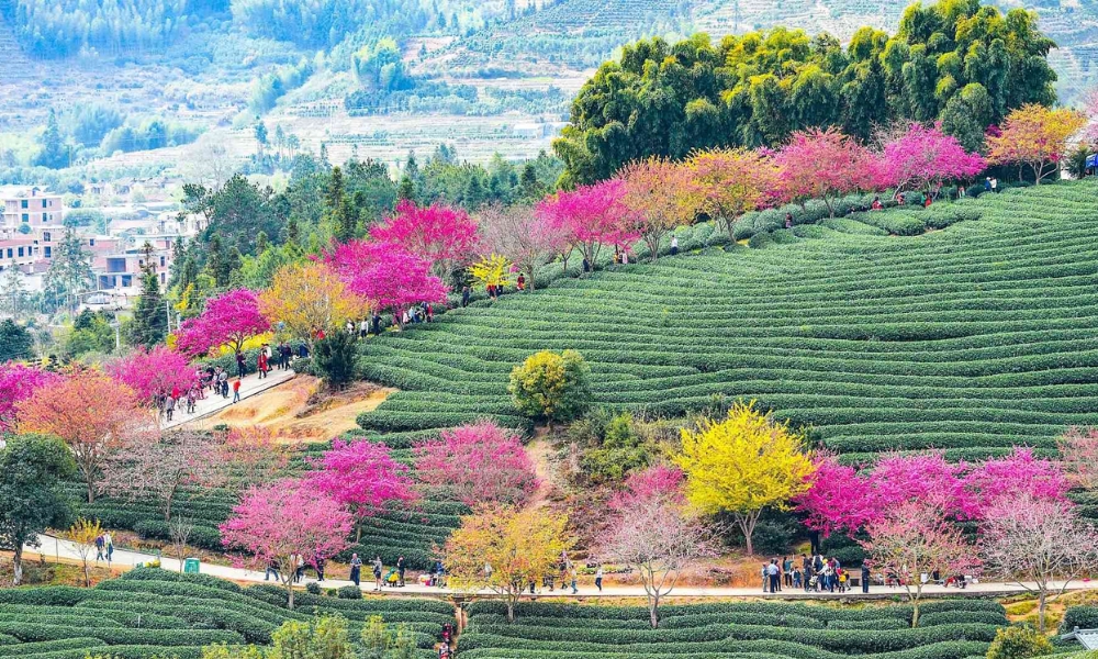 M&ugrave;a n&agrave;o Ph&uacute;c Kiến cũng c&oacute; vẻ đẹp rất ri&ecirc;ng