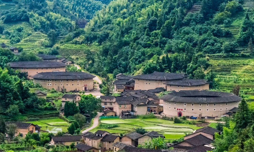 N&uacute;i Vũ Di sẽ l&agrave; điểm đến ph&ugrave; hợp với những ai y&ecirc;u c&acirc;y cối v&agrave; động vật