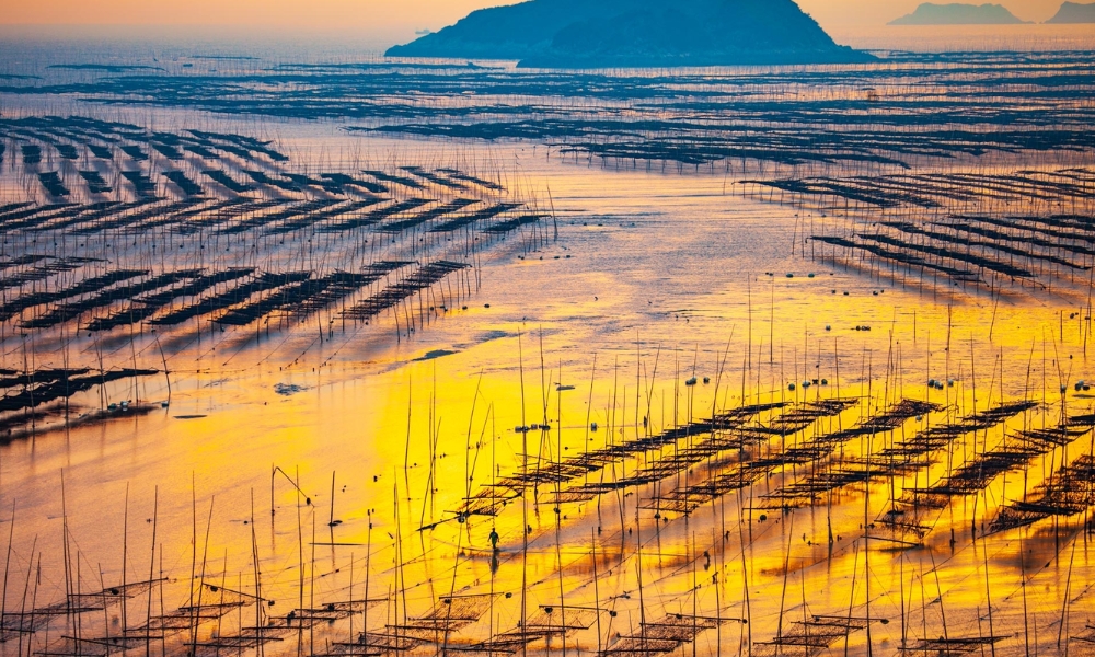 Vừa c&oacute; n&uacute;i vừa c&oacute; biển, Ph&uacute;c Kiến c&oacute; thể chinh phục bất kỳ F168 và liên minh okvip lễ ký kết hợp tác chiến lược n&agrave;o đến đ&acirc;y