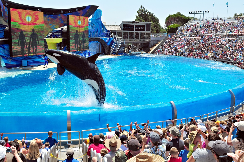 SeaWorld San Diego – điểm hẹn lý tưởng để khám phá thế giới sinh vật biển