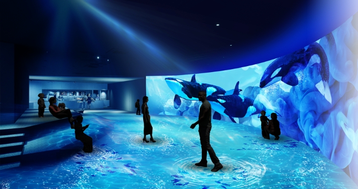 Tại thuỷ cung Aoao, bạn c&oacute; thể kh&aacute;m ph&aacute; thế giới đại dương đa dạng v&agrave; đầy m&agrave;u sắc