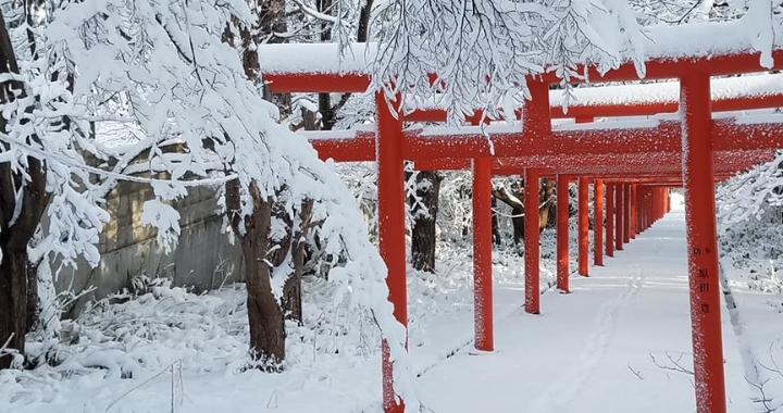 đền thờ Sapporo Inari Fushimi, một địa điểm linh thi&ecirc;ng với vẻ đẹp huyền b&iacute;, đặc biệt khi tuyết phủ trắng x&oacute;a