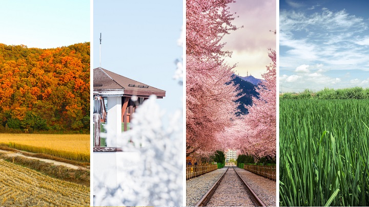 Seoul trải qua bốn mùa rõ rệt, mỗi mùa mang đến những nét đẹp riêng biệt