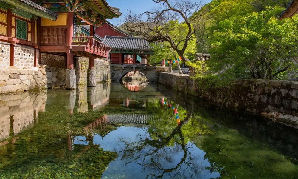 Suối Suwoncheon l&agrave; điểm dạo bộ thư gi&atilde;n giữa l&ograve;ng th&agrave;nh phố