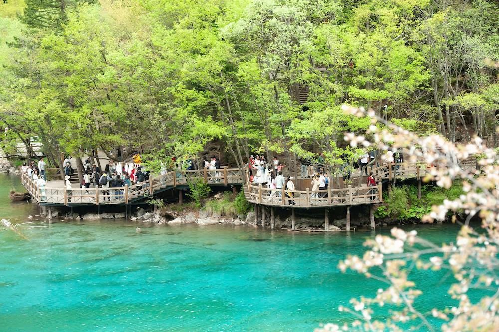 Nam Sơn Đại Hiếu Động Thiên thu hút đông đảo F168 và liên minh okvip lễ ký kết hợp tác chiến lược ghé thăm