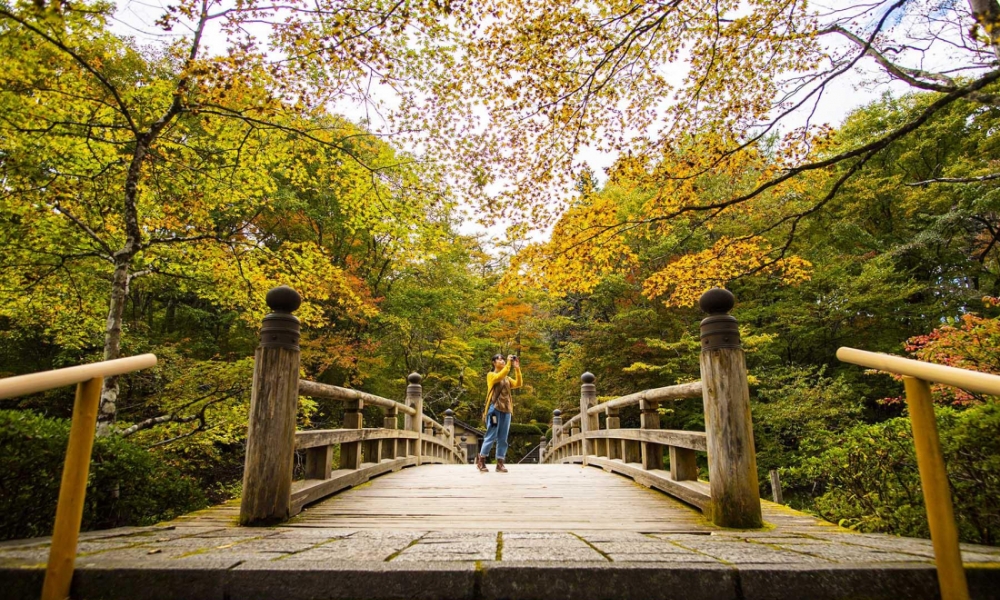 Bạn c&oacute; thể tận hưởng cảnh sắc tuyệt vời của Tochigi suốt cả năm