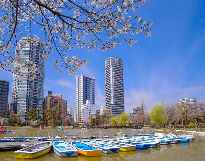 C&ocirc;ng vi&ecirc;n Ueno rộng lớn với nhiều bảo t&agrave;ng, vườn th&uacute; v&agrave; điểm ngắm hoa anh đ&agrave;o nở rộ v&agrave;o m&ugrave;a xu&acirc;n