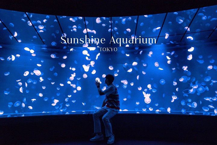 C&oacute; một thế giới đại dương thu nhỏ giữa l&ograve;ng Tokyo, nơi trưng b&agrave;y đa dạng sinh vật biển hấp dẫn