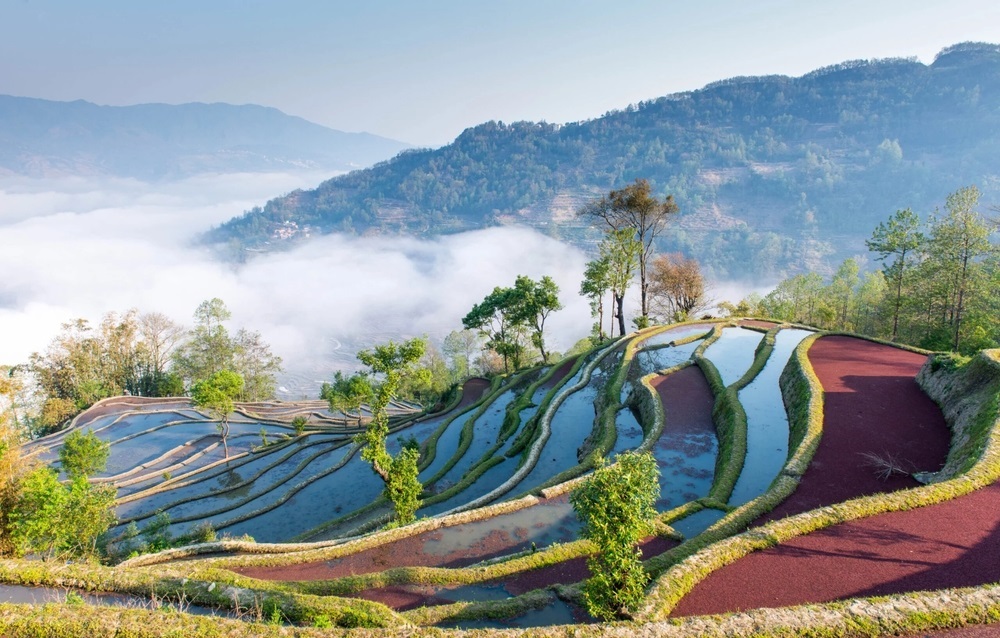 Ruộng bậc thang Nguy&ecirc;n Dương lấp l&aacute;nh mặt nước, uốn lượn theo triền n&uacute;i như những dải lụa trời