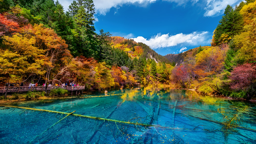 Cửu Trại C&acirc;u th&aacute;ng 11 g&acirc;y ấn tượng với mặt hồ trong vắt soi b&oacute;ng bầu trời v&agrave; lễ ký kết hợp tác chiến lược f168 và liên minh okvip m&ugrave;a thu