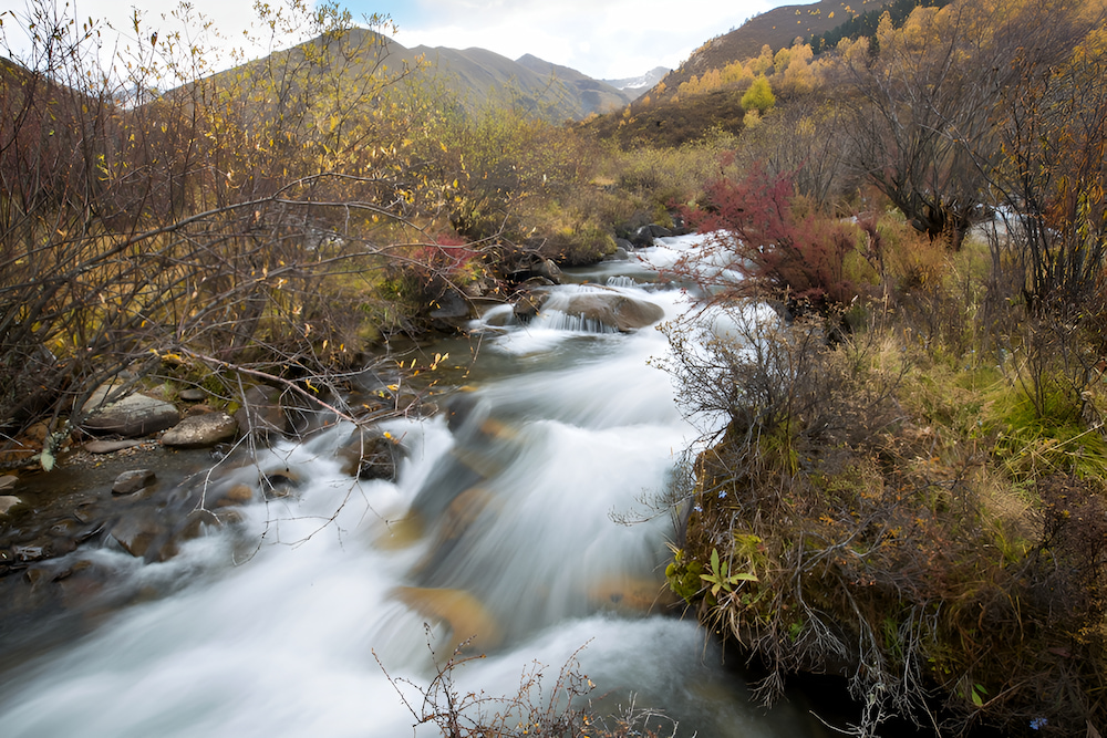 Sắc đỏ, cam v&agrave; v&agrave;ng rực rỡ bao phủ quanh th&aacute;c, tạo n&ecirc;n bức tranh m&ugrave;a thu sống động giữa v&ugrave;ng cao Tứ Xuy&ecirc;n
