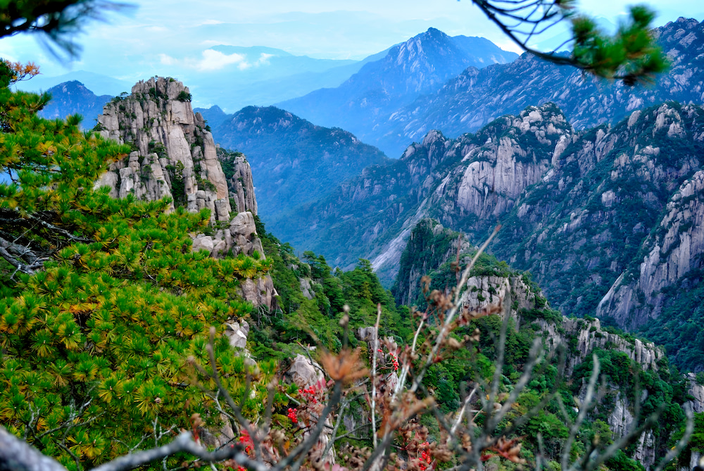 Cuối thu, n&uacute;i rừng chuyển sắc rực rỡ, trở th&agrave;nh điểm đến l&yacute; tưởng cho m&ugrave;a săn l&aacute; tại miền Đ&ocirc;ng Trung Quốc