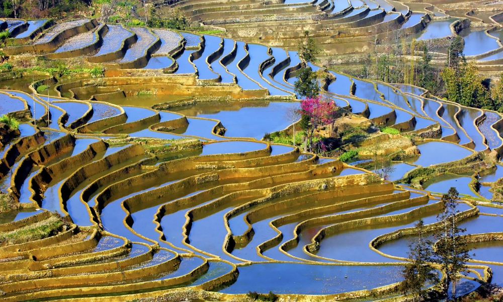 Ít nơi nào lại có cảnh sắc ruộng bậc thang đẹp như ở Yuanyang
