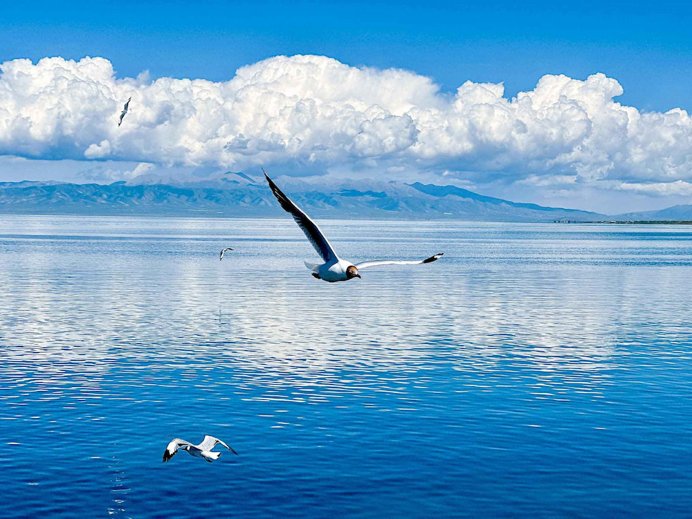 Hồ Thanh Hải đẹp mơ màng với bầu trời xanh ngắt soi bóng mặt nước trong veo và khung cảnh yên bình đầy thơ mộng