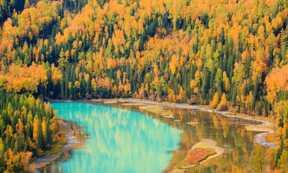 L&aacute; c&acirc;y tại Kanas dần chuyển v&agrave;ng, đỏ v&agrave;o cuối th&aacute;ng 8, đầu th&aacute;ng 9