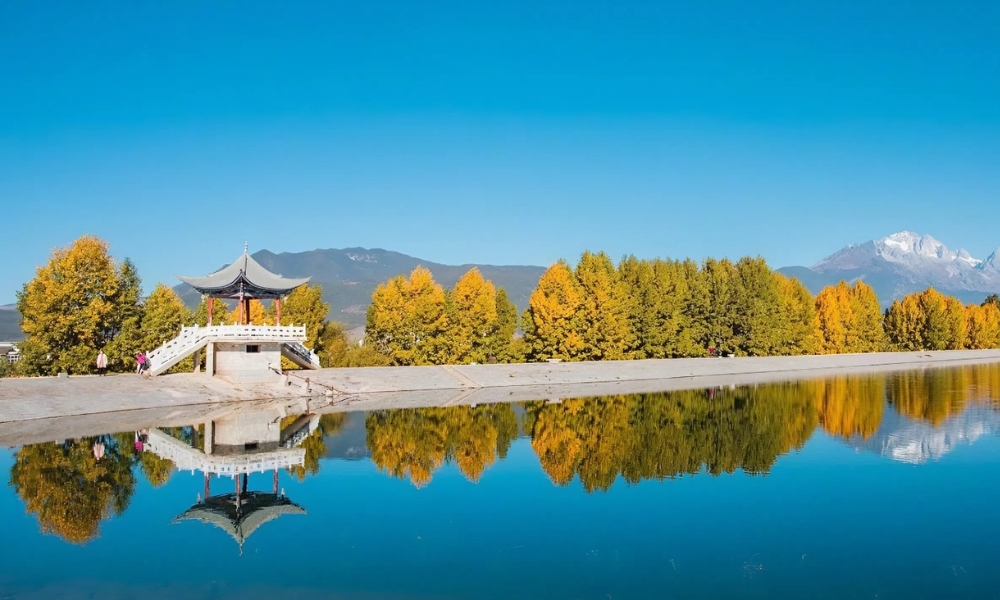 Hồ nước trong xanh phản chiếu rặng c&acirc;y l&aacute; v&agrave;ng v&agrave; đỉnh Ngọc Long Tuyết Sơn phủ tuyết trắng ở ph&iacute;a xa