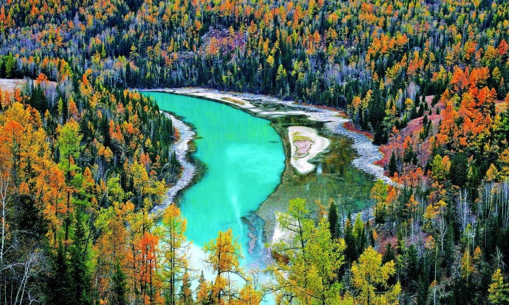 Hồ Kanas xanh ngọc b&iacute;ch uốn lượn giữa rừng bạch dương v&agrave;ng rực m&ugrave;a thu ở T&acirc;n Cương