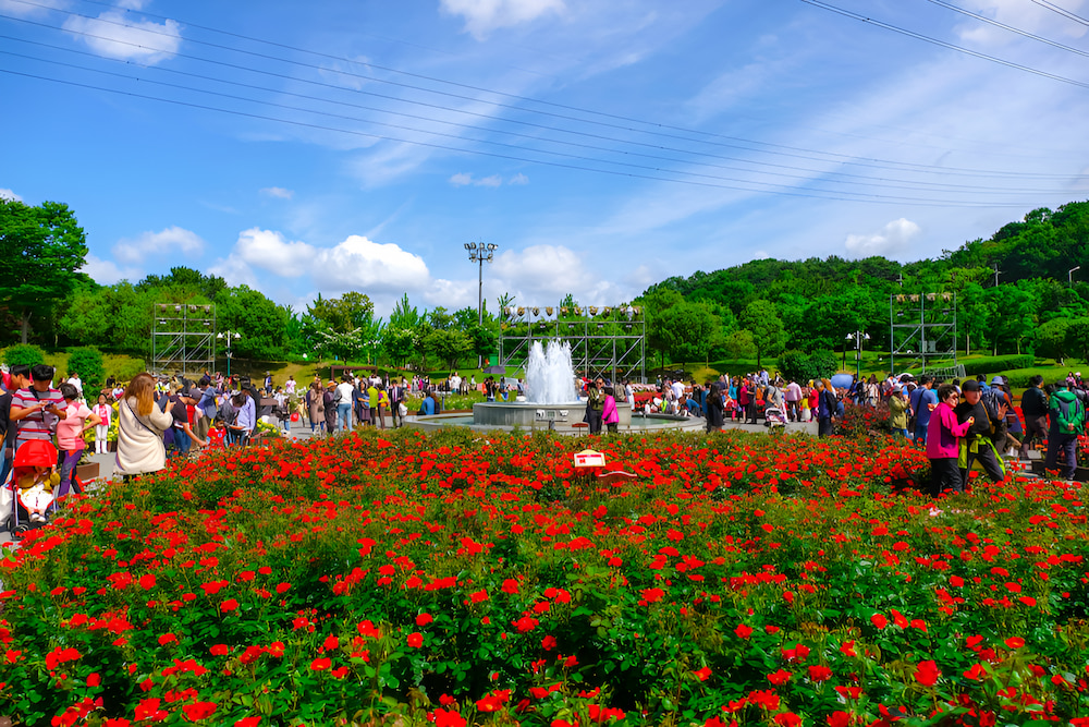 Công viên lớn Ulsan sở hữu cảnh sắc rực rỡ vào mùa hè