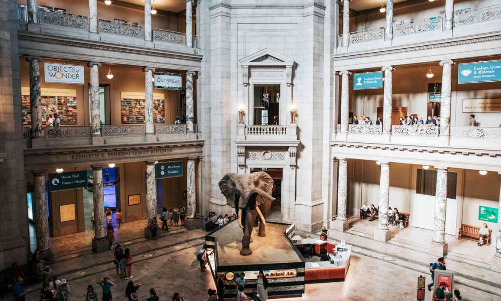 Kh&aacute;m ph&aacute; lịch sử Tr&aacute;i Đất qua h&agrave;ng triệu năm ở Bảo t&agrave;ng Lịch sử Tự nhi&ecirc;n Quốc gia