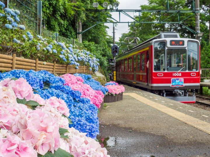 Ga t&agrave;u Hakone Tozan - điểm kết nối F168 OKVIP Ho Chi Minh City đến Hakone.